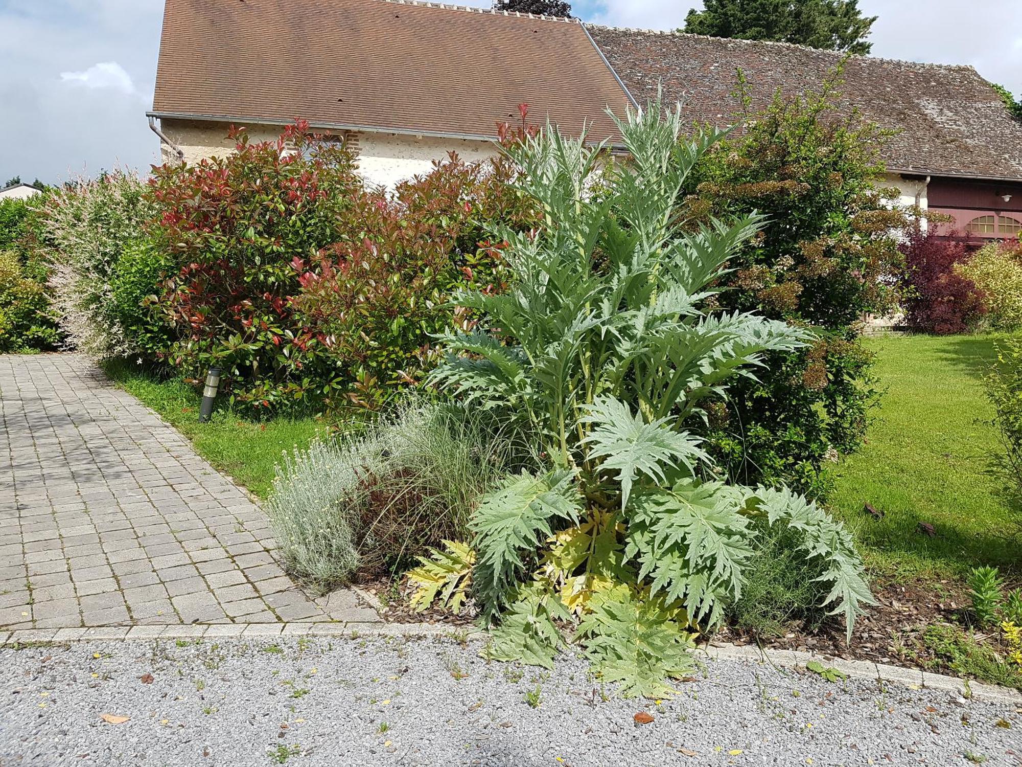 Les 7 Tilleuls - Gite Mesland Luaran gambar